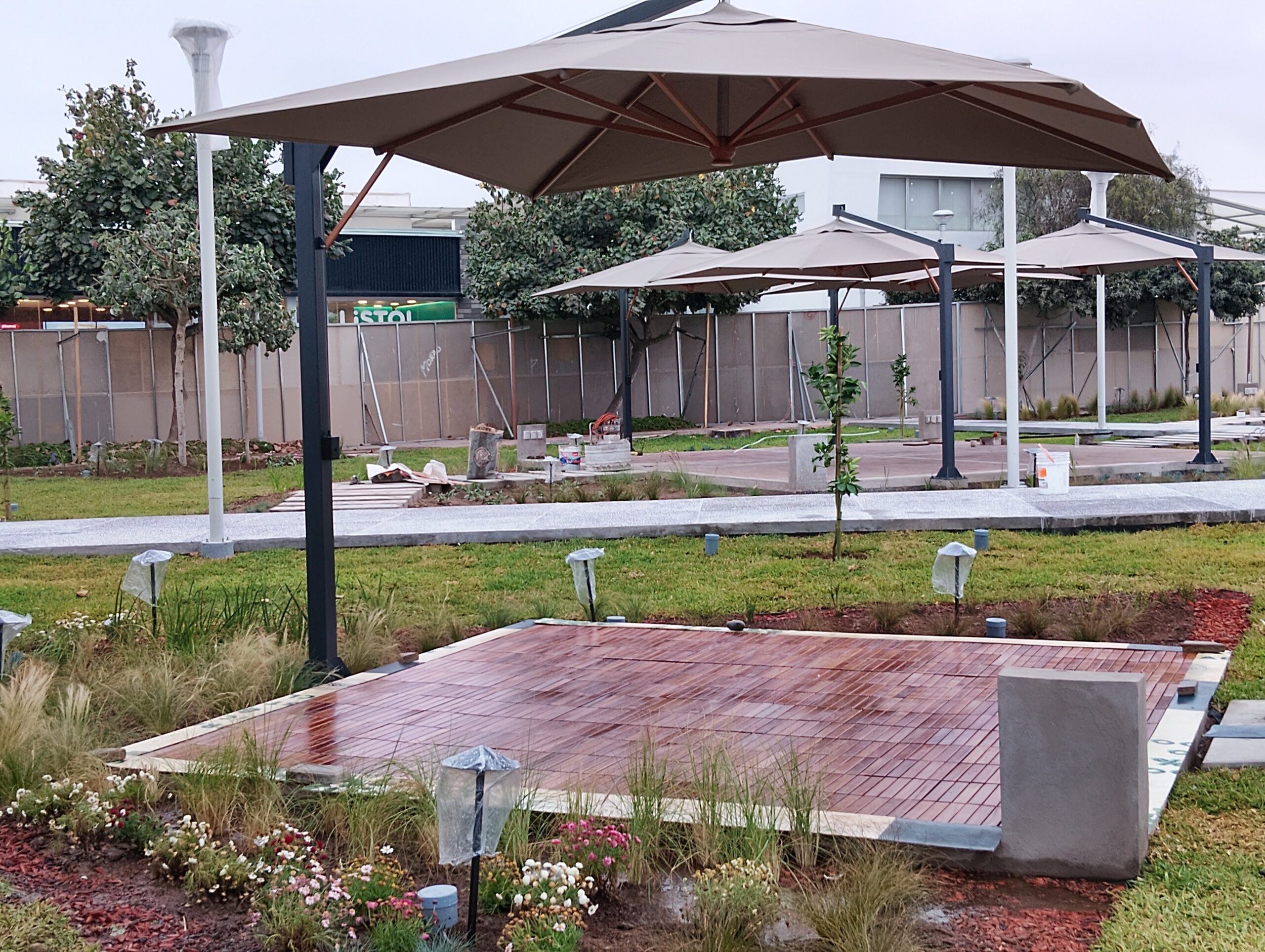 img 20241019 172412 (1)