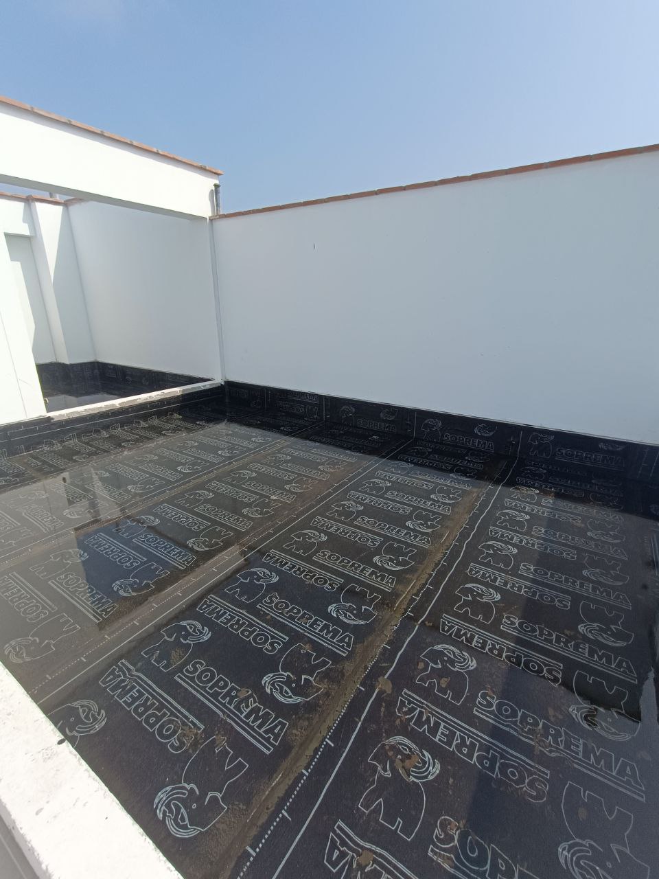 photo 2023 12 14 11 05 30 (12)