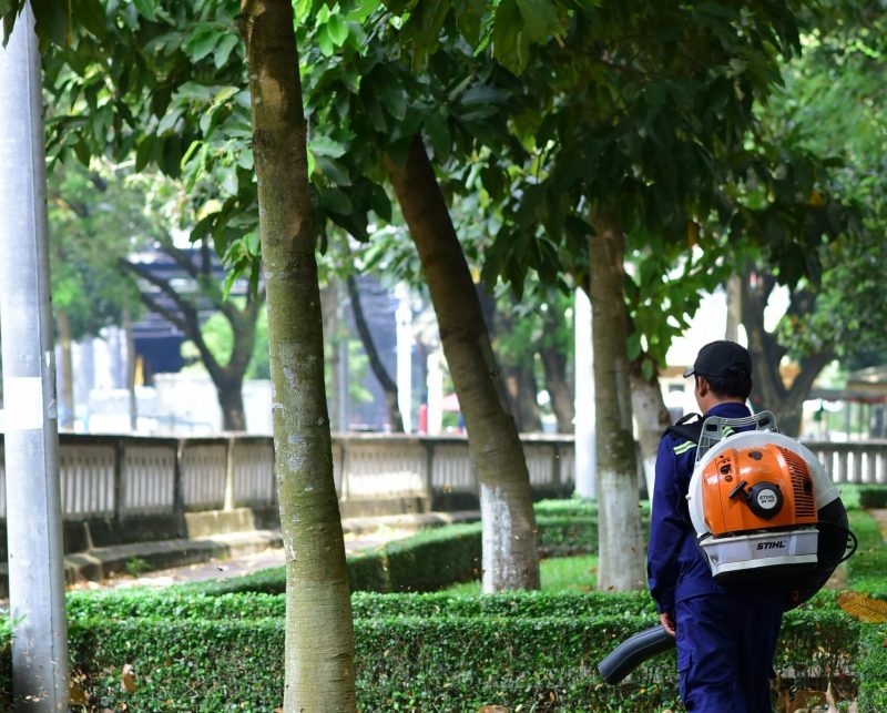 pexels photo 33297749 33297749