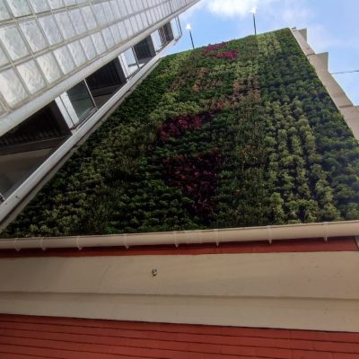 photo 2023 05 05 14 32 06 (21)